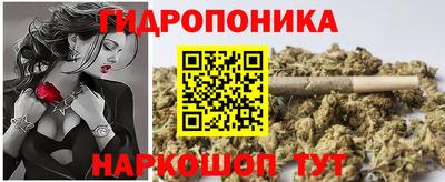 шишки Конаково